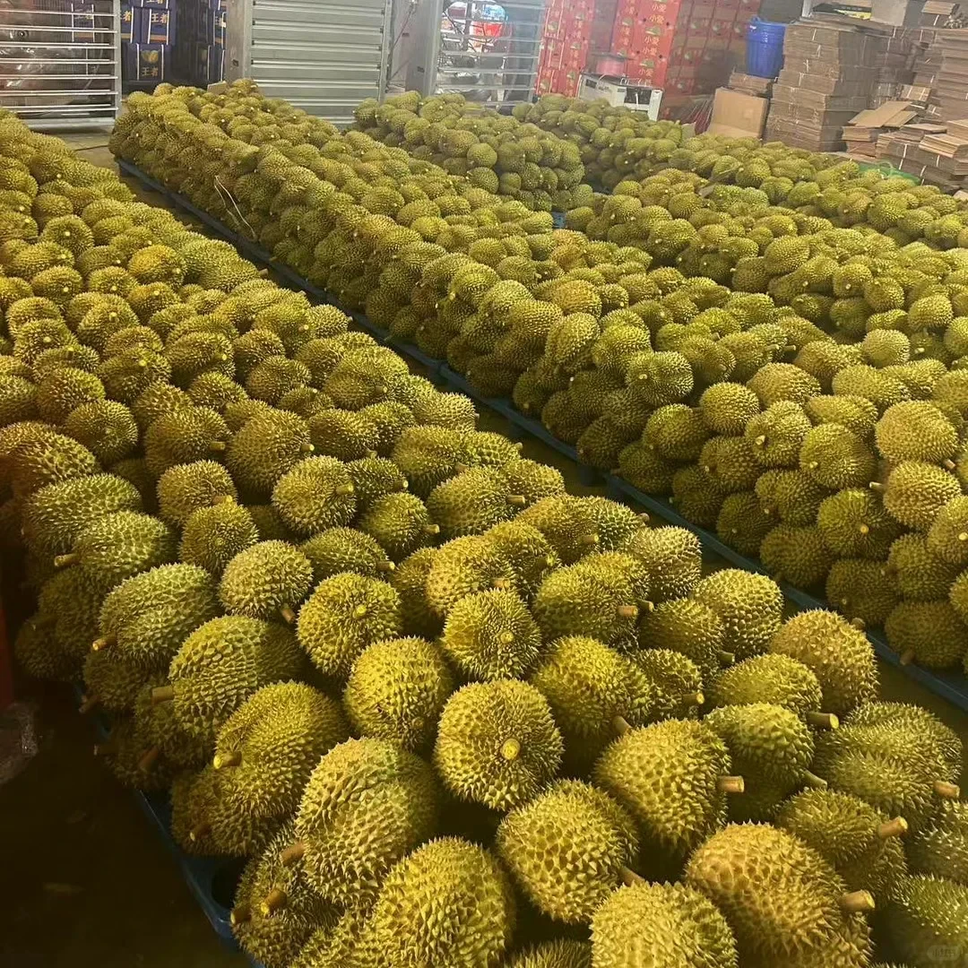 【福利果专拍 没售后】夹生  湿包 介意勿拍 没售后 新鲜金枕榴莲 果肉按斤核小金枕泰国