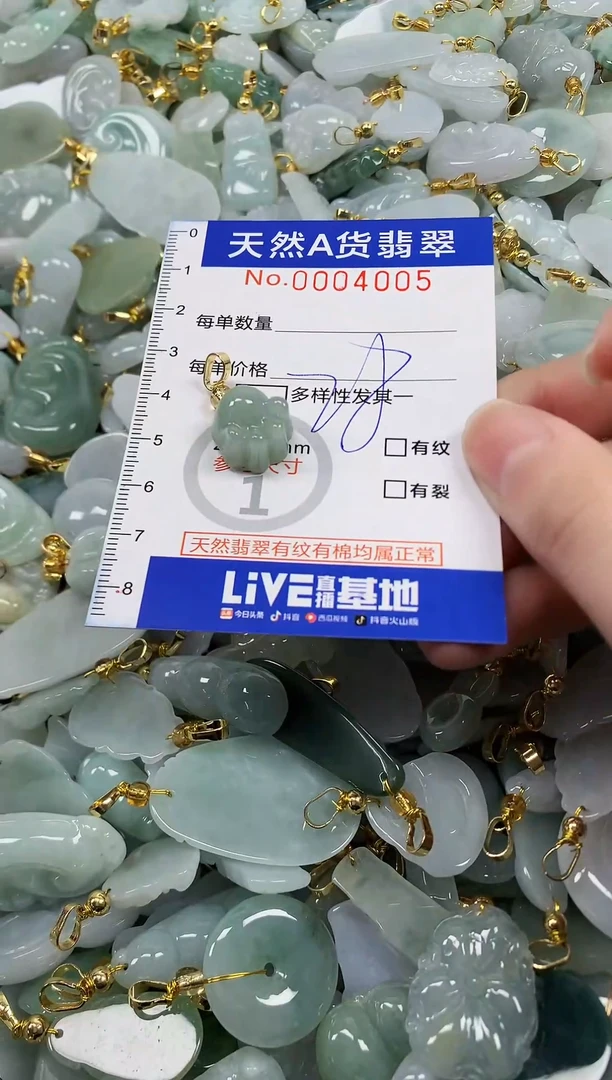 颈饰未镶嵌翡翠纯天然a货翡翠