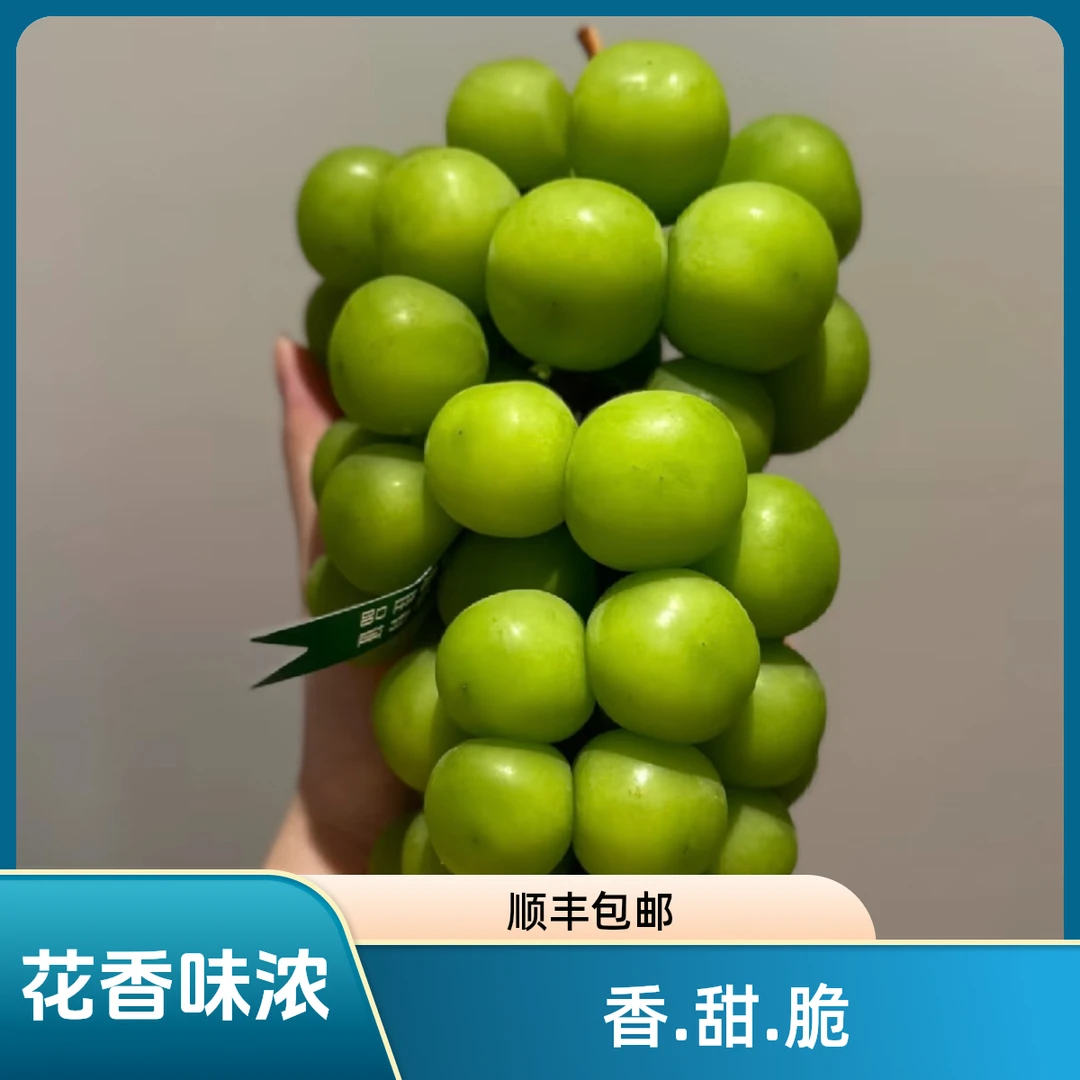 【表弟专属】楼铁源香印阳光玫瑰葡萄晴王礼盒包装3斤顺丰包邮