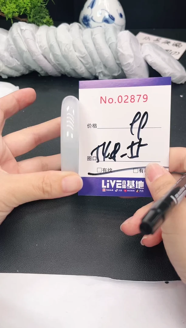 未镶嵌手镯翡翠2879