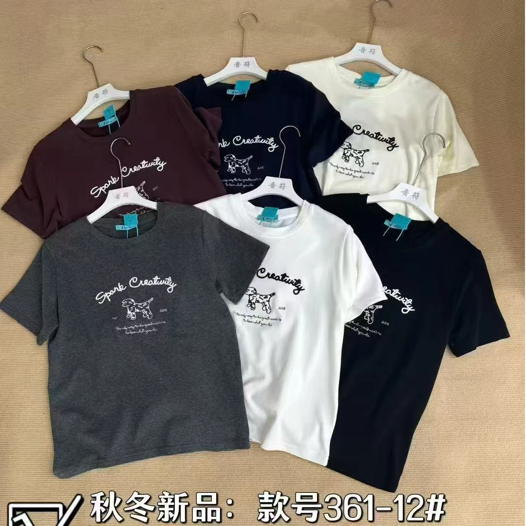 361-12番外秋季新款圆领宽松刺绣轻奢百搭磨毛短袖T恤女