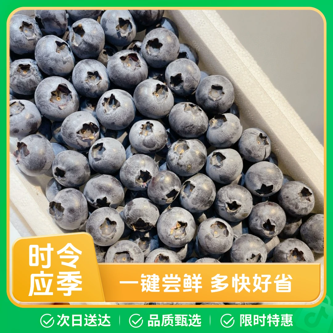 （上层大一点下层小一点）丹东蓝莓，新鲜水果，中大(18-20mm)，毛重 9 两—1斤左右其他/others吉林省长春市