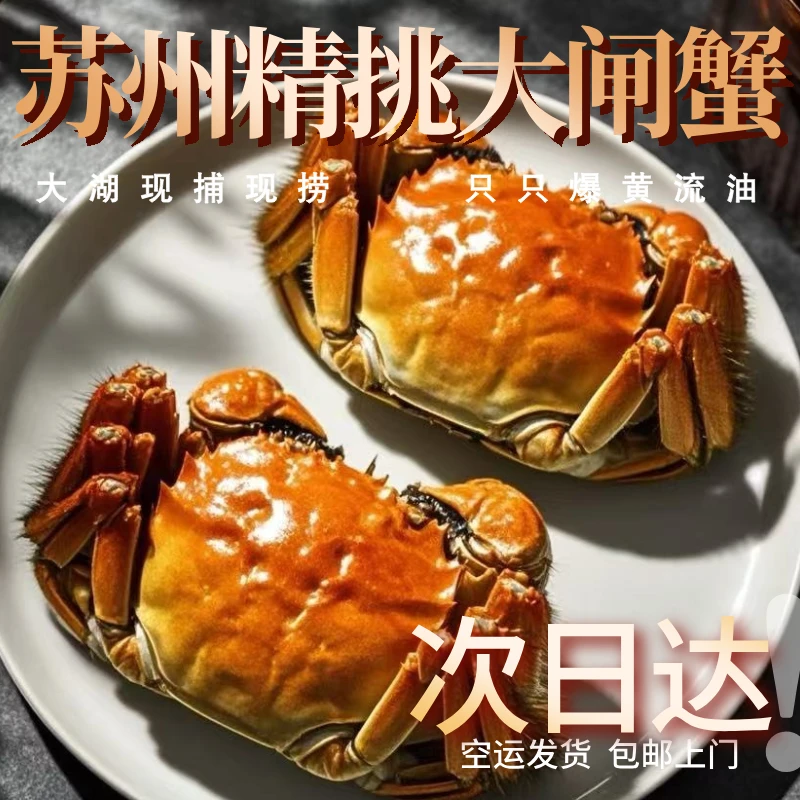 【活蟹】苏州大闸蟹精挑蟹全母蟹3.1-2.8两顺丰京东空运送货上门8只金标蟹包邮江苏苏州大闸蟹