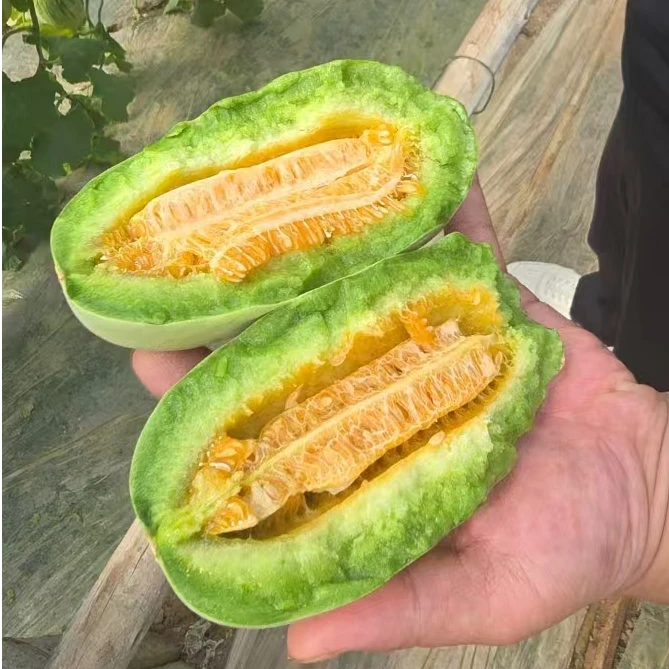 糖墩墩蜜瓜（甜瓜） 29.9元/4斤