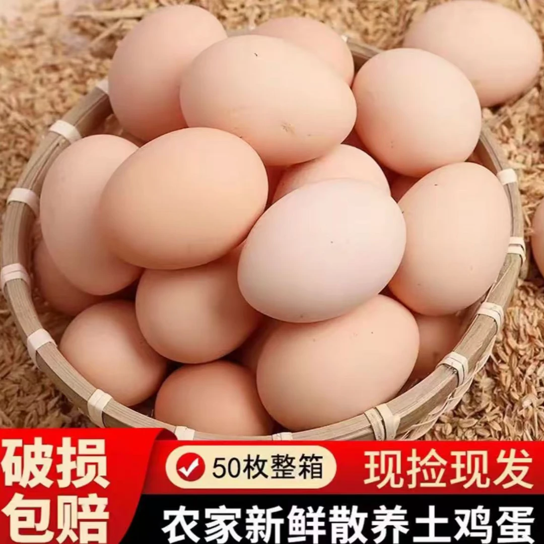 【50枚甄选】山林散养土鸡蛋谷物喂养新鲜鸡蛋现捡现发40-50克/枚