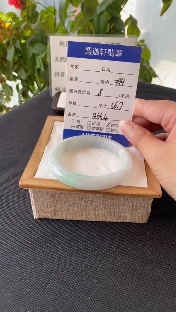 未镶嵌手镯翡翠56.5圈口 B654编码