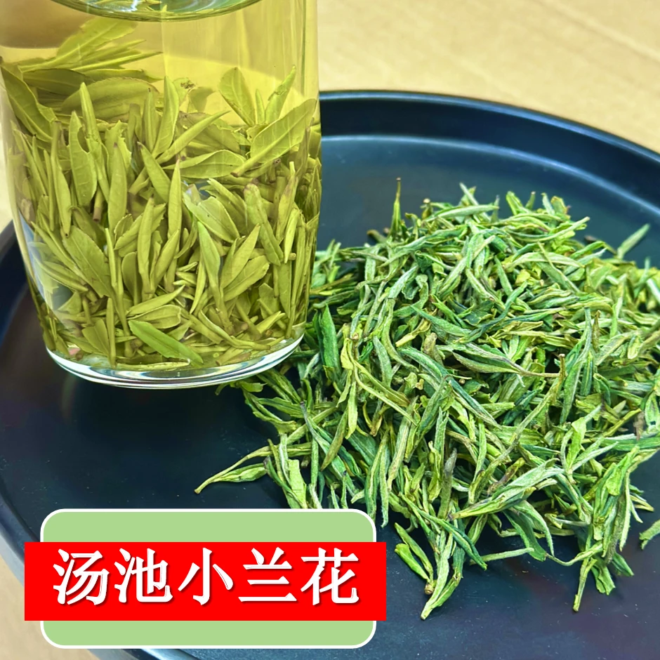 汤池小兰花（小黄芽）A195高山2025年新茶鲜爽口粮绿茶
