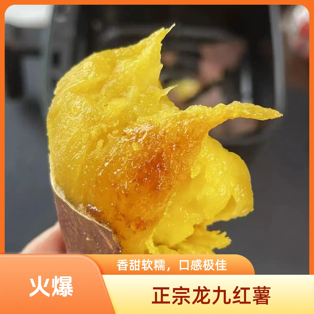 湖北正宗龙九新鲜现挖买3斤送2斤到手五斤榴莲蜜薯红烤后软糯香甜