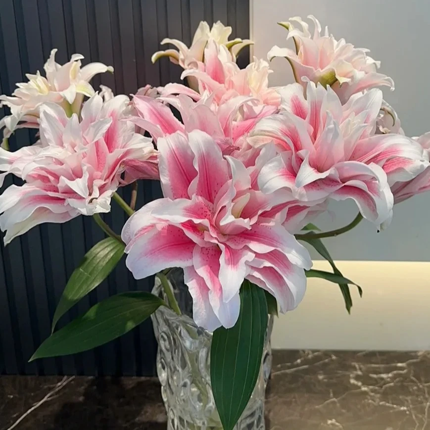 【源头优选】伊莎贝拉重瓣百合 任意2单鲜花包邮 发货后不支持退款