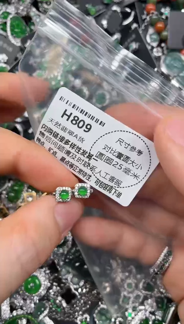 颈饰未镶嵌翡翠H809耳扣