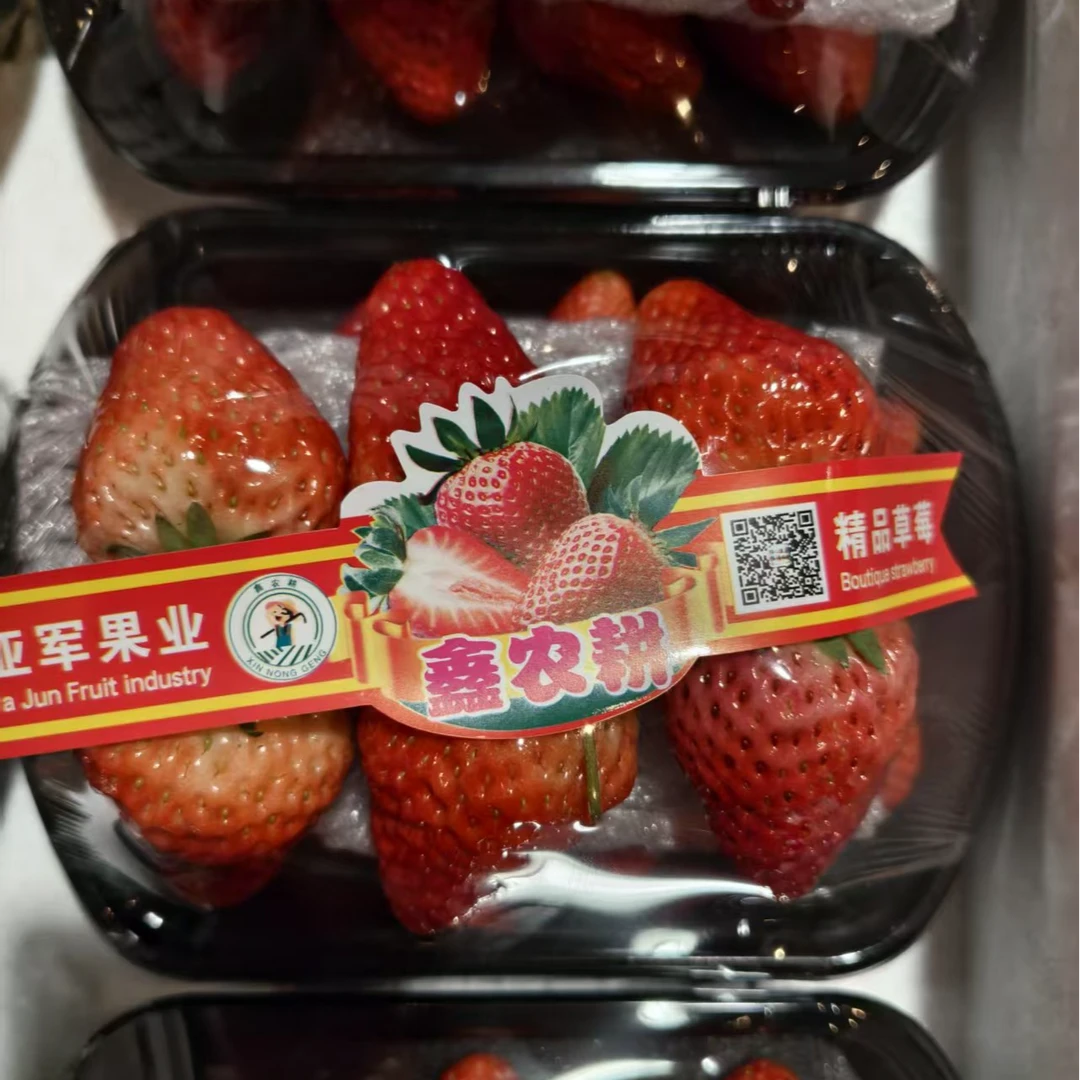 【两盒装】亚军果业精品草莓丹东200g