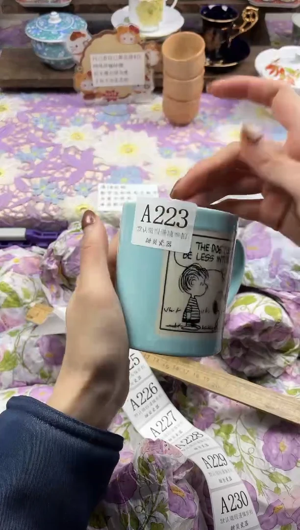 瓷片肉**肉                A223