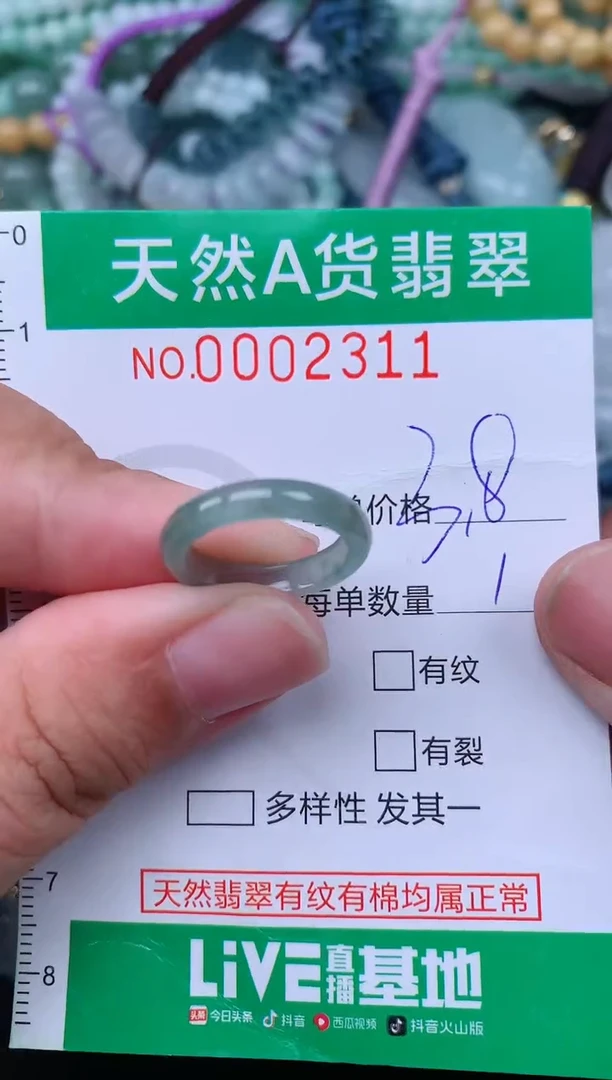 翡翠未镶嵌颈饰.0002311