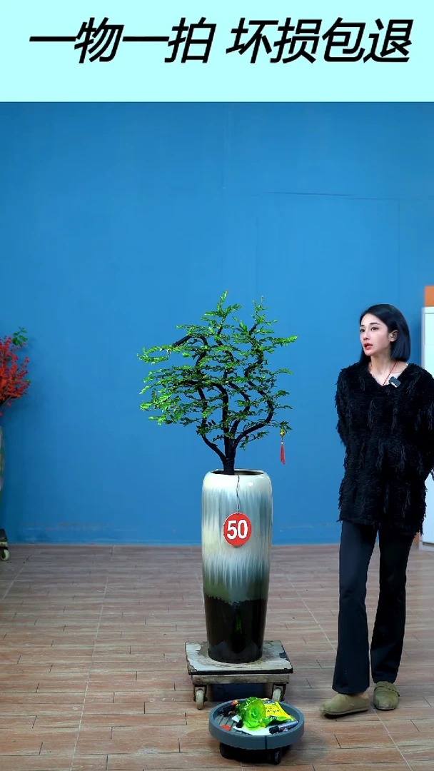 以实际为准庄*丰广东小叶紫檀