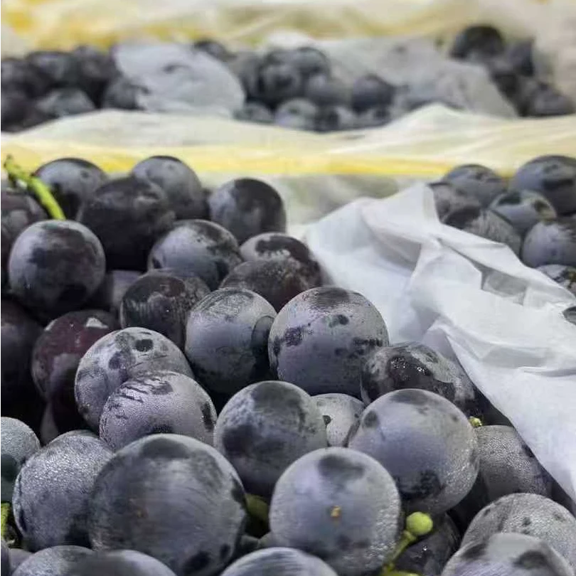 新疆蓝莓葡萄11新疆维吾尔自治区