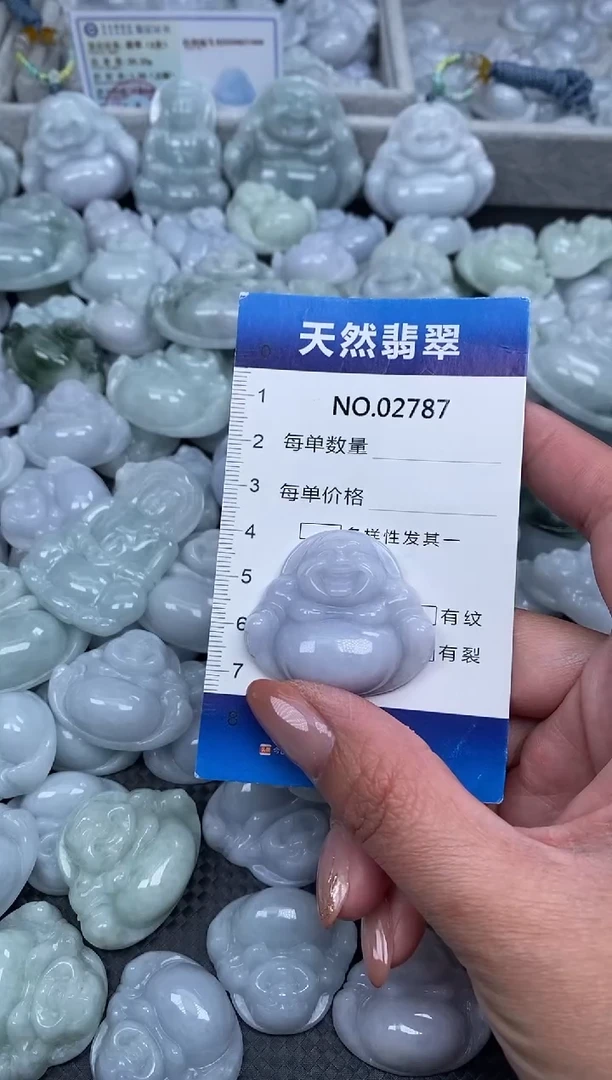 颈饰未镶嵌翡翠纯天然A货翡翠2787