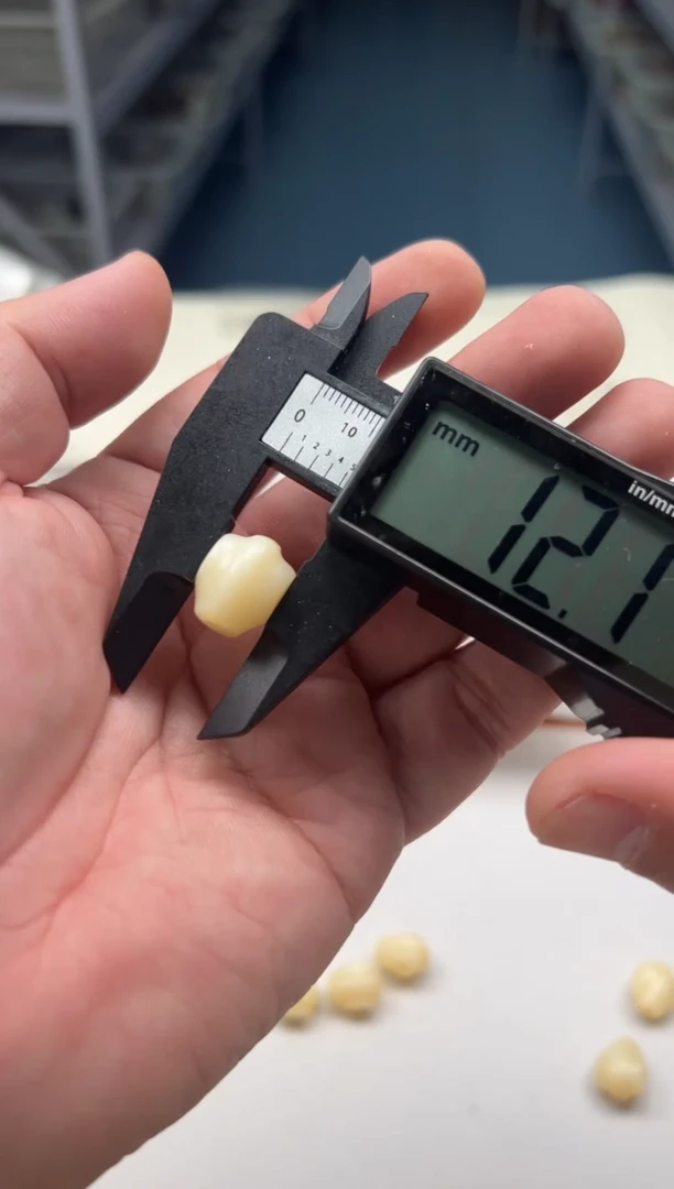 驼骨手串/手链三通单颗5807