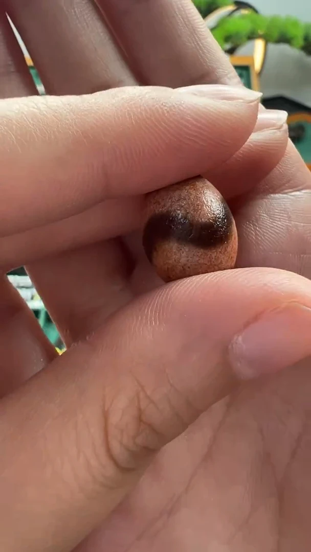 玛瑙/玉髓（覆膜）颈饰未镶嵌7.（微瑕）