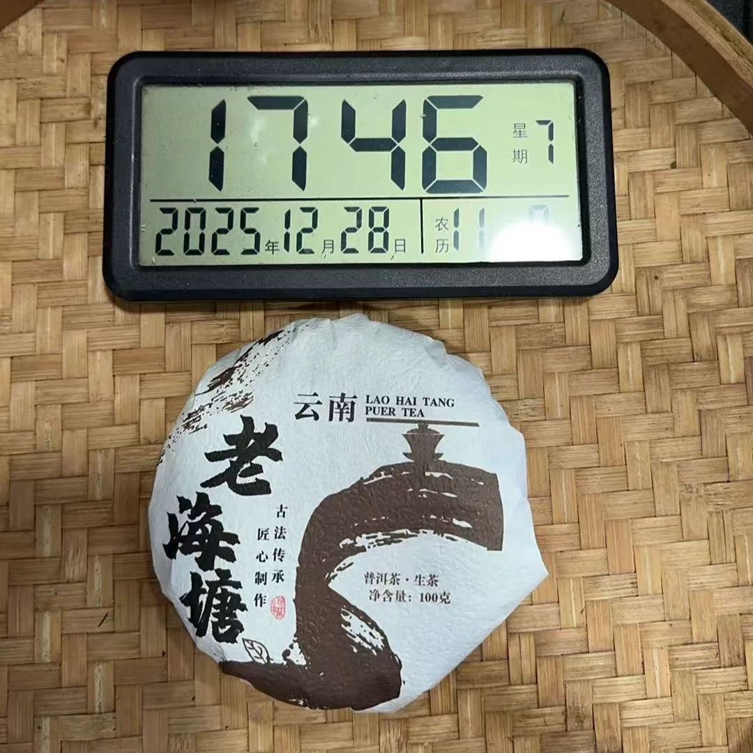 杨光甄选-2025年100克老海塘古树   (春）普洱生茶饼
