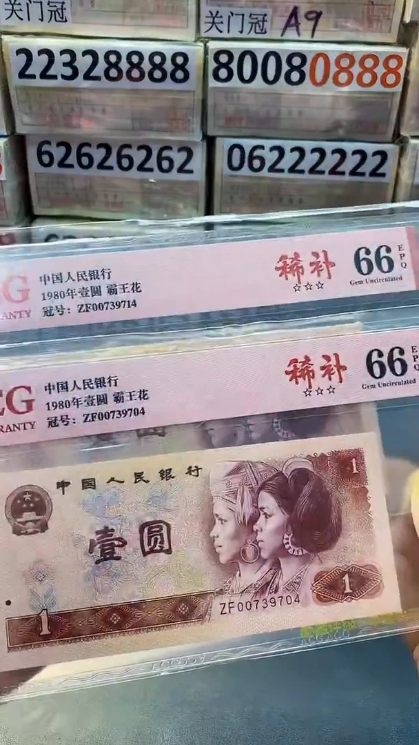 801ZF稀 补 爱藏评级 66分不挑号