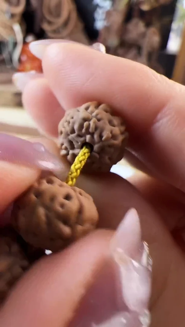 金刚菩提吊坠六瓣战神树王