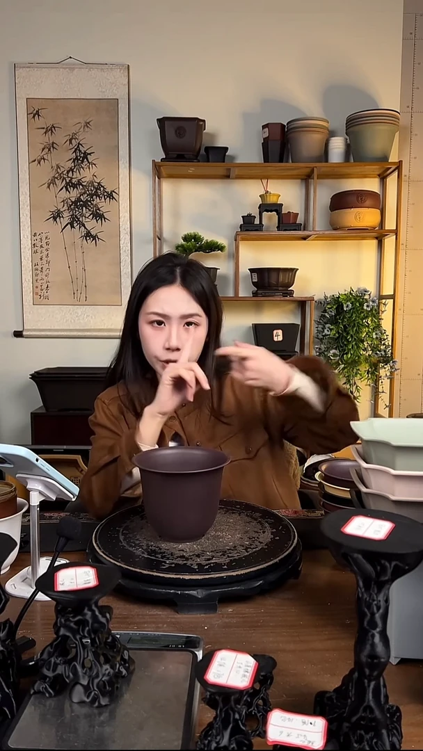 10只15口径金钟紫檀色