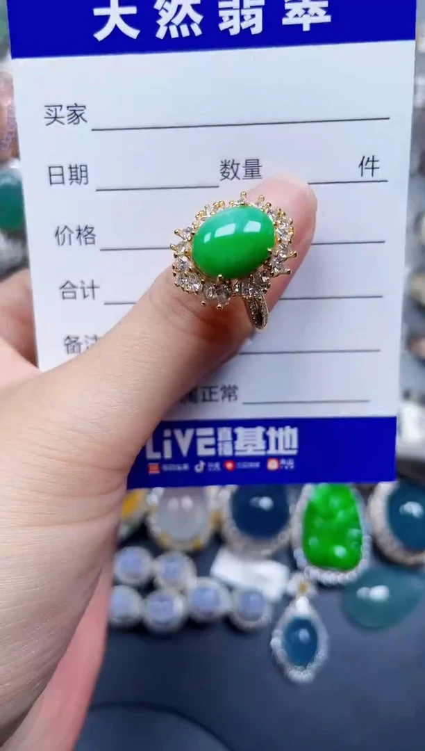 银S925镶嵌翡翠耳饰603