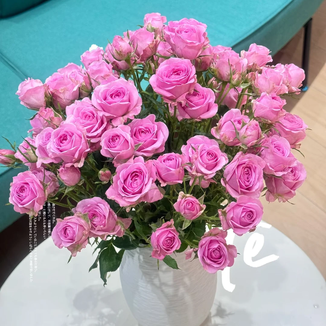 『暗恋多头玫瑰』同城明天到-全场任意满2单以上鲜花升级顺丰京东包邮