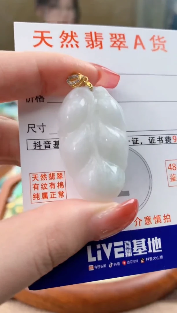 颈饰未镶嵌翡翠天然A货翡翠挂件