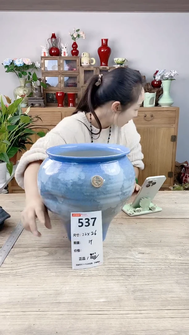 晴好园艺直播编号537