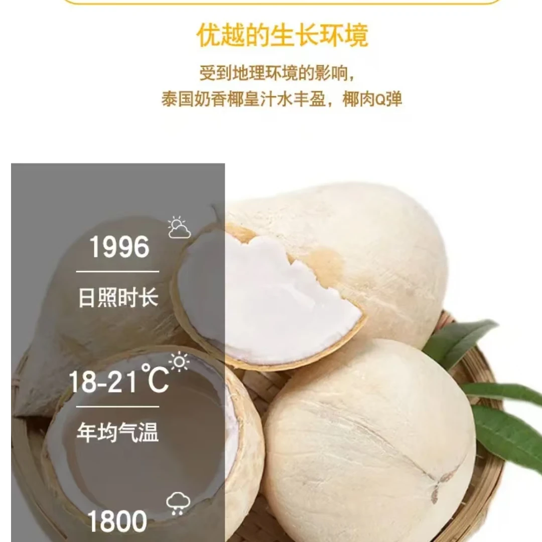 泰国椰青汁水丰富纯甜1粒