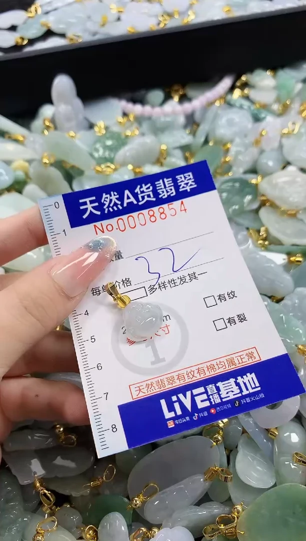 颈饰未镶嵌翡翠天然A货翡翠