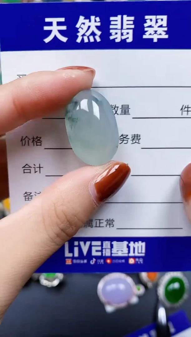 翡翠未镶嵌颈饰848
