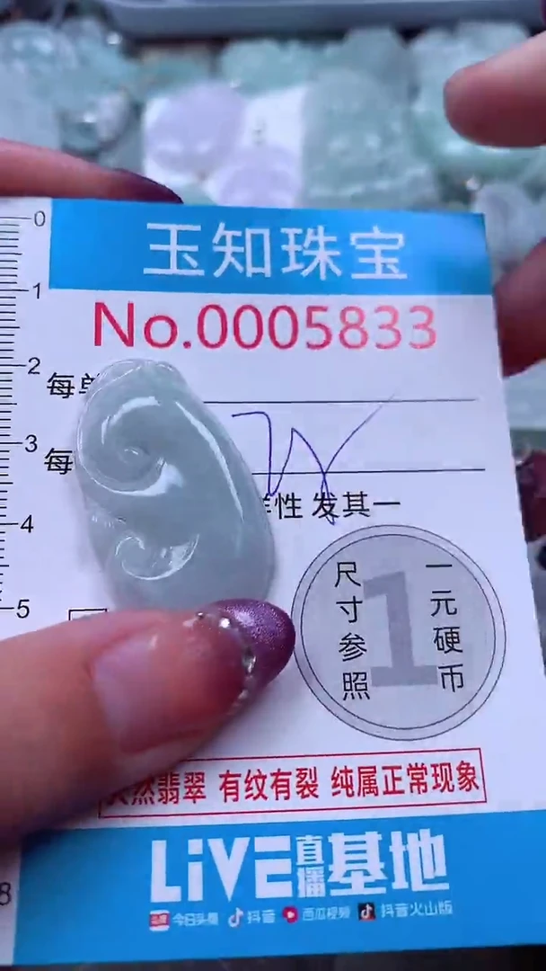 翡翠未镶嵌吊坠(不含链)5833