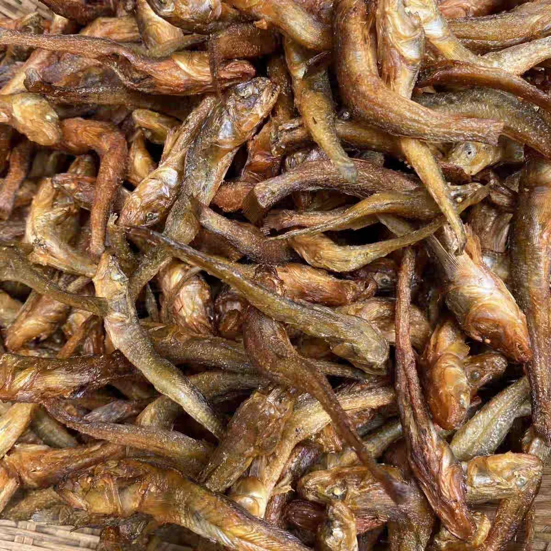 小河淡水野生趴趴鱼