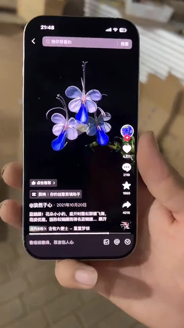 完全开放两单包邮、蓝蝴蝶