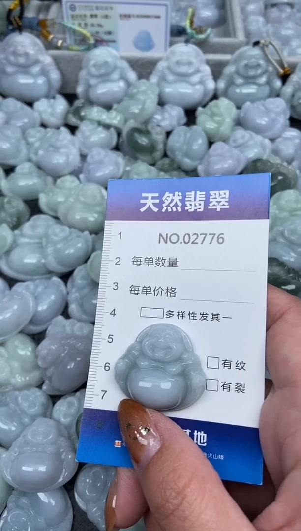 颈饰未镶嵌翡翠纯天然A货翡翠2776