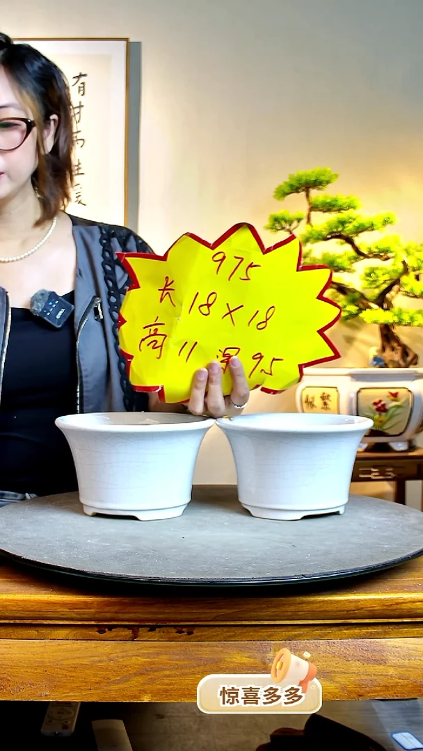 975白色6个00000000000