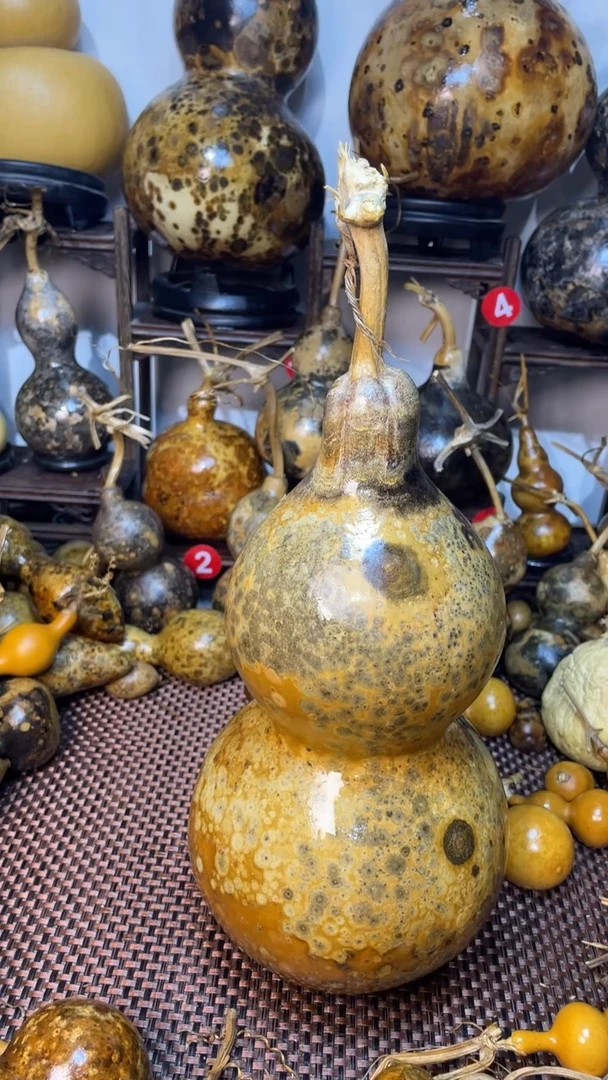 【闪购商品】葫芦葫芦葫芦葫芦