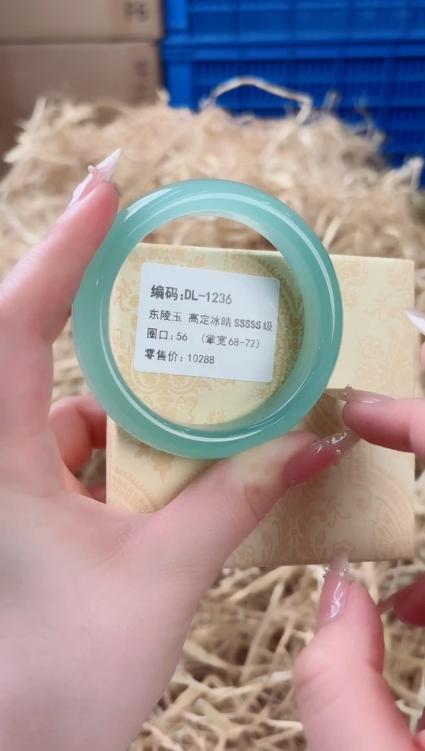 未镶嵌手镯石英质玉DL-1236