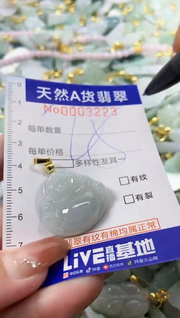颈饰未镶嵌翡翠天然A货翡翠