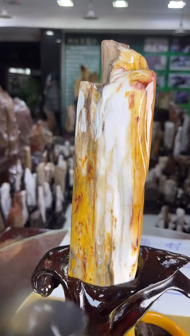 未镶嵌珠宝奇石硅化玉缅甸天然树化玉精品摆件