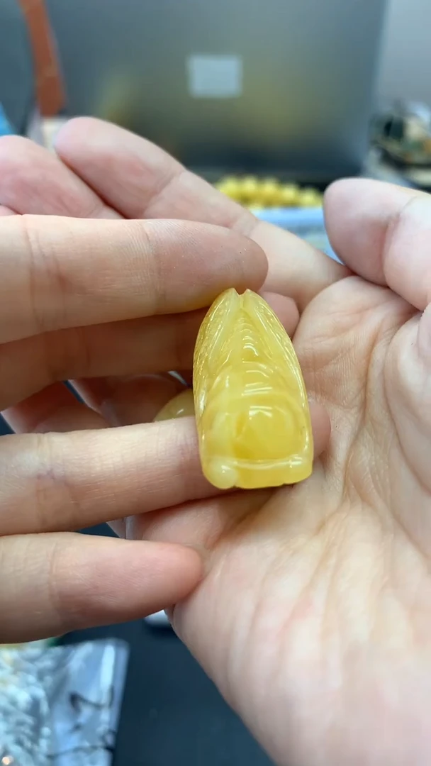 未镶嵌琥珀珠宝奇石1957