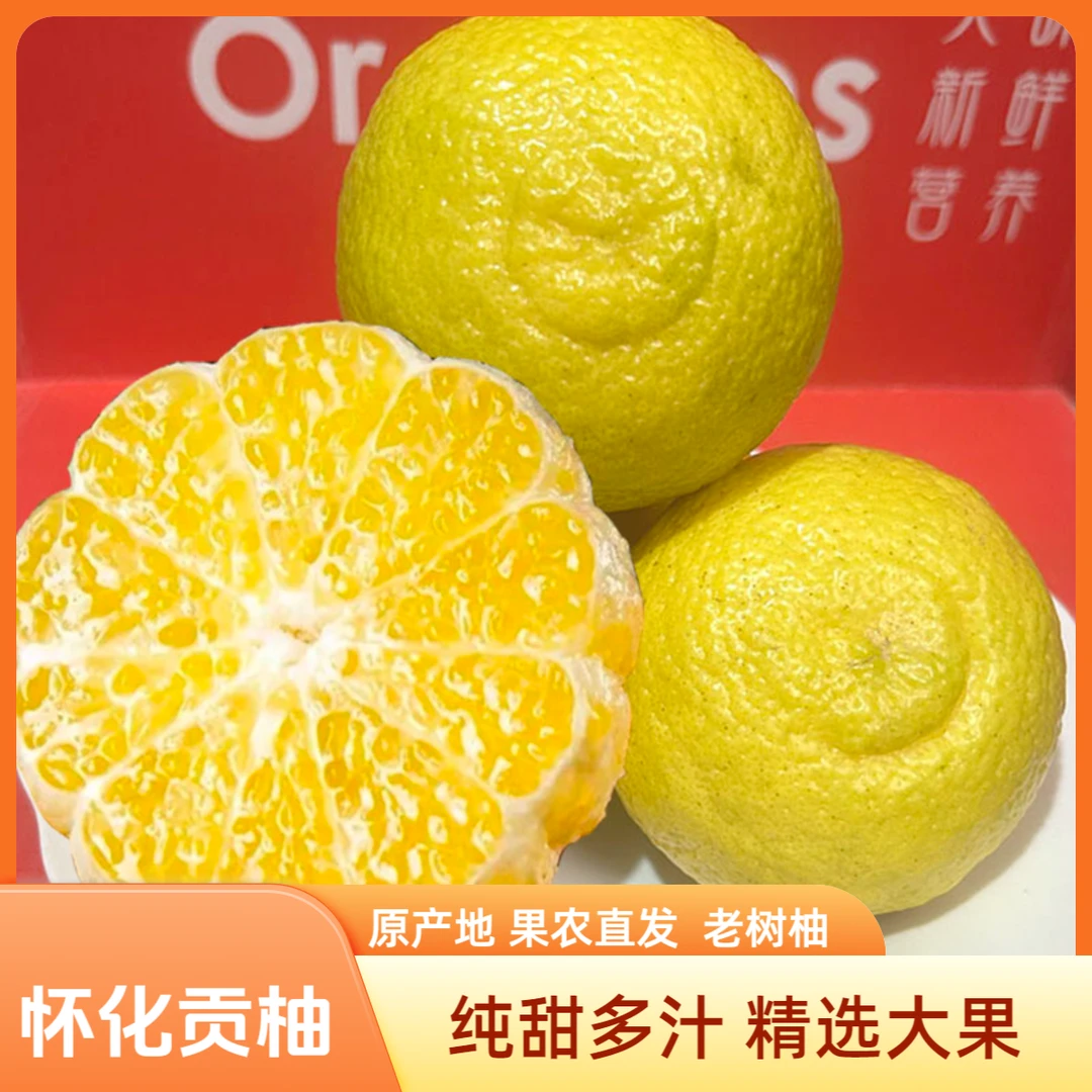 【原产地果农直发不甜不要钱】怀化黄金贡柚像山青香春小柚子纯甜果