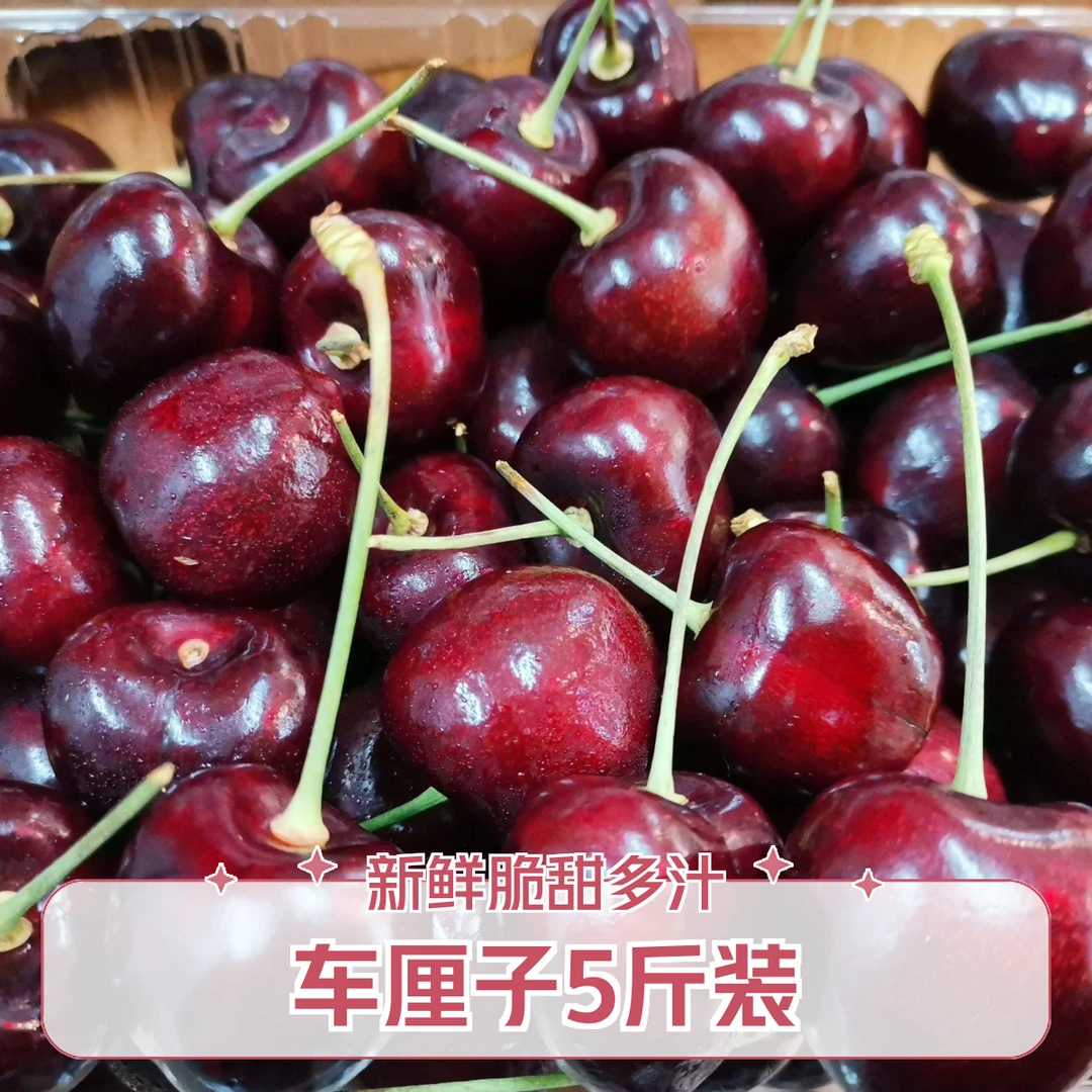 车厘子 JD 5斤/箱(原箱进口)