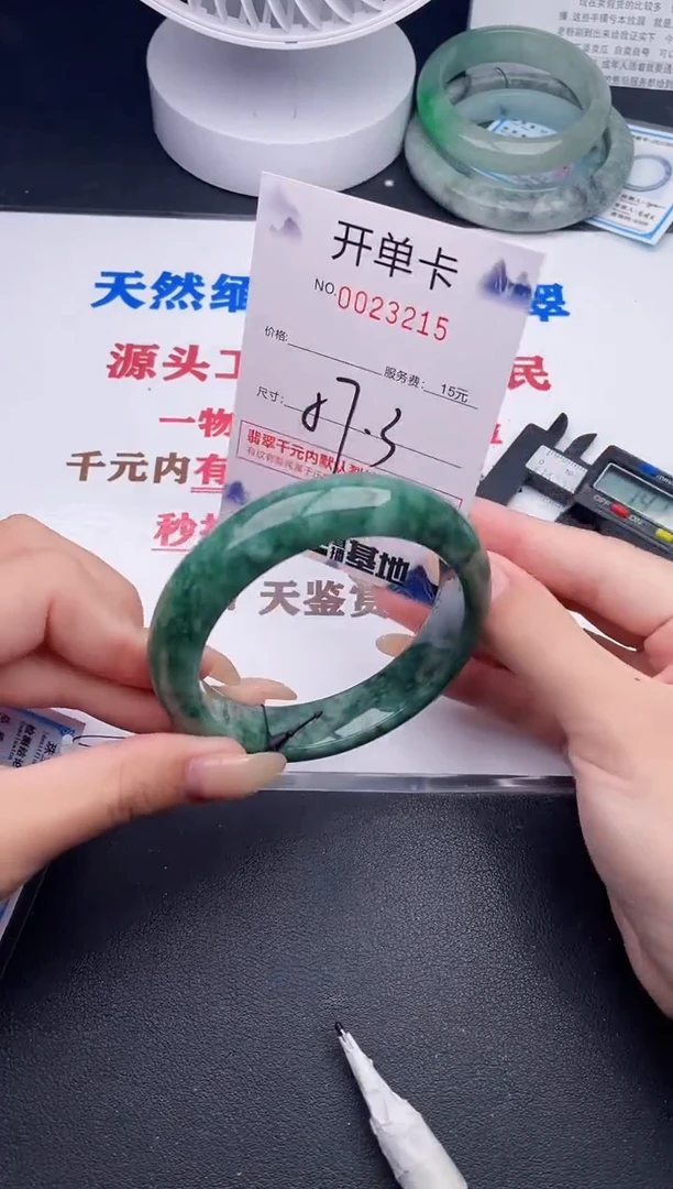 未镶嵌手镯翡翠15