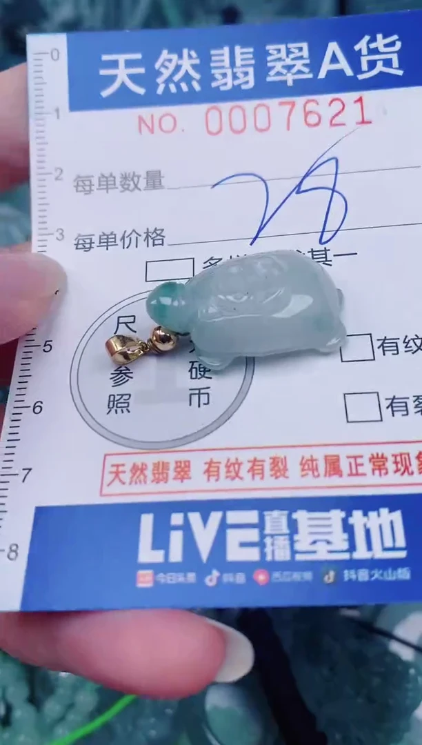 颈饰未镶嵌翡翠00007621