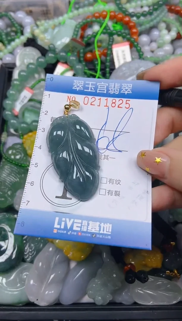 颈饰未镶嵌翡翠闪购C0211825