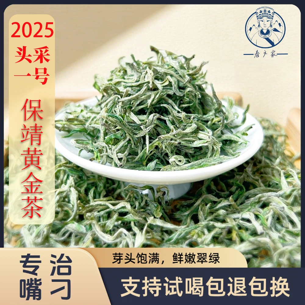 保靖黄金茶明前初展头采黄金茶一号浓香型茶产区绿茶特级浓香型茶