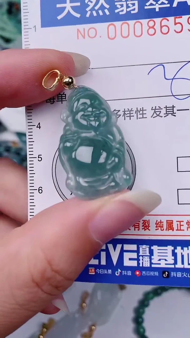 翡翠未镶嵌颈饰00008659